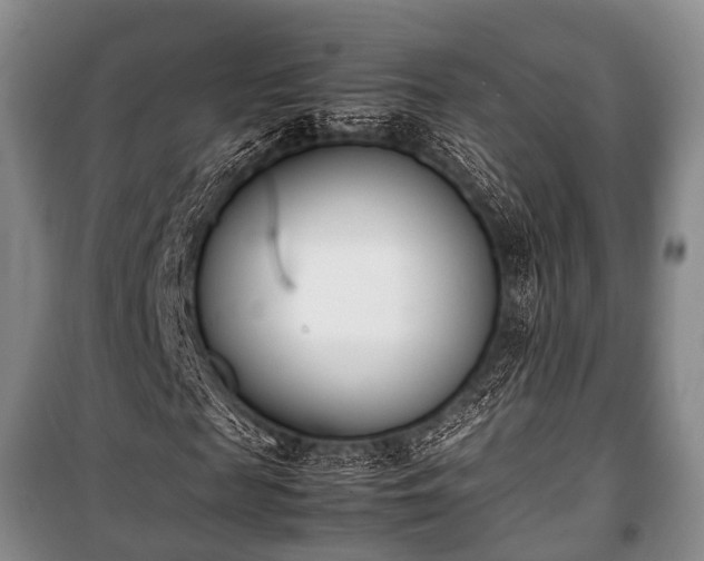 X0000100770817200806261541