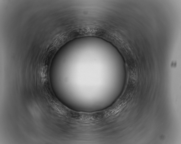 X0000100770818200806261541