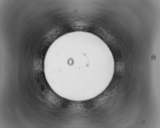 X0000100770820200806261541