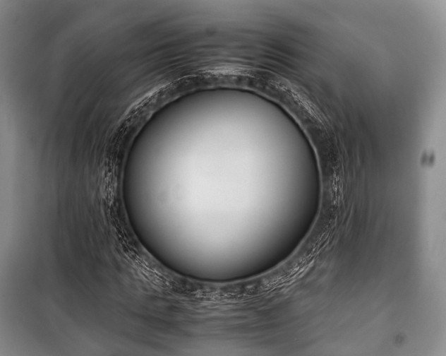 X0000100770821200806261541