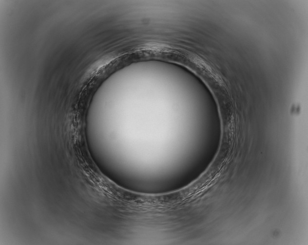 X0000100770822200806261541