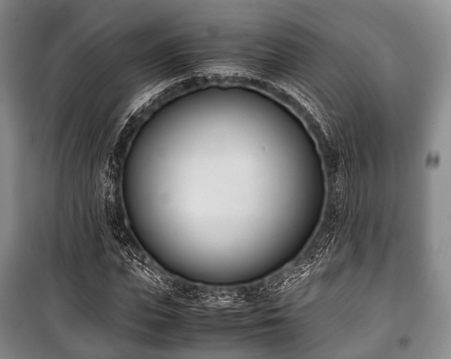 X0000100770823200806261541