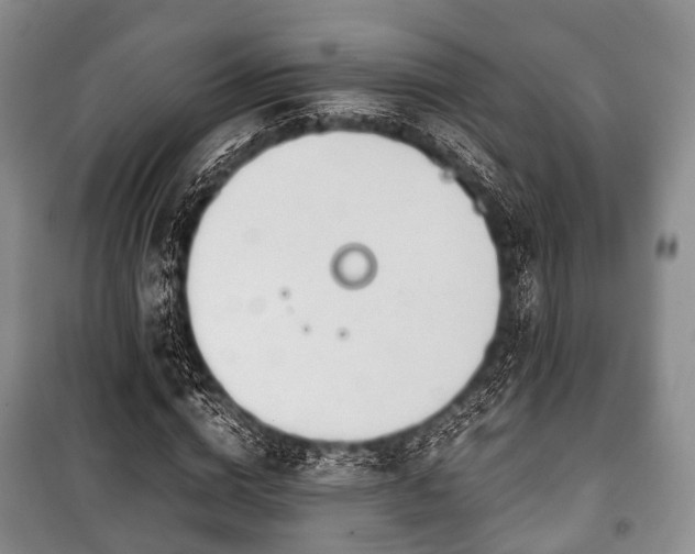 X0000100770824200806261541