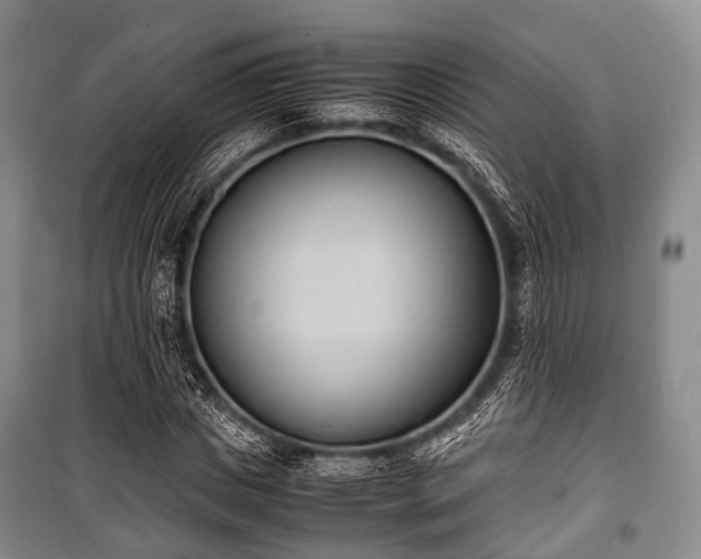 X0000100770825200806261541