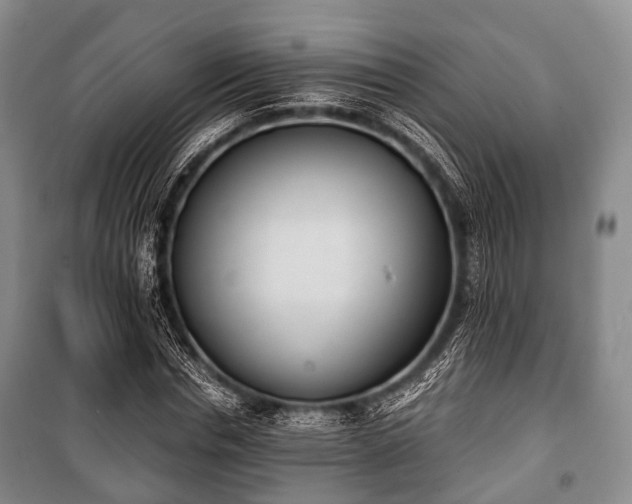 X0000100770826200806261541