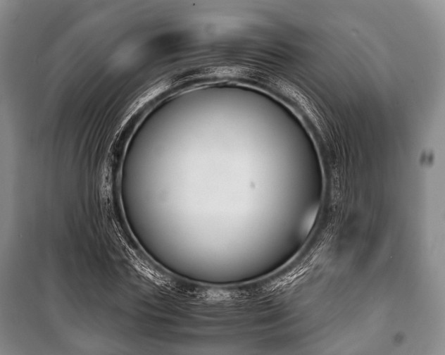 X0000100770827200806261541