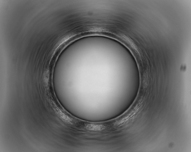 X0000100770831200806261541