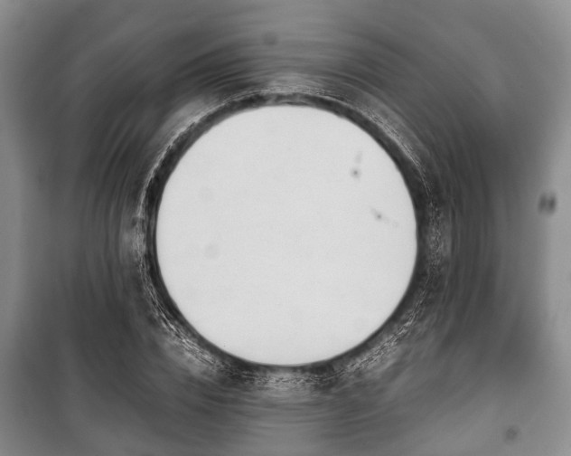 X0000100770832200806261541