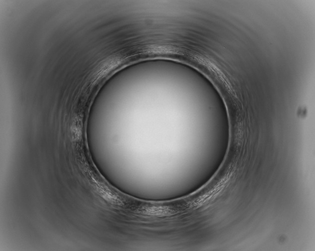 X0000100770833200806261541