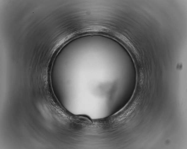 X0000100770834200806261541