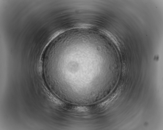 X0000100770835200806261541