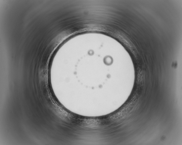 X0000100770836200806261541