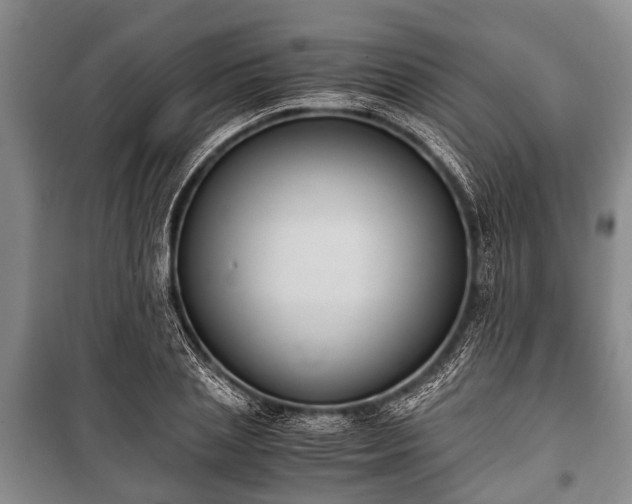 X0000100770837200806261541