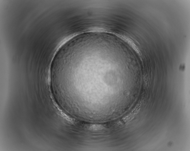 X0000100770839200806261541
