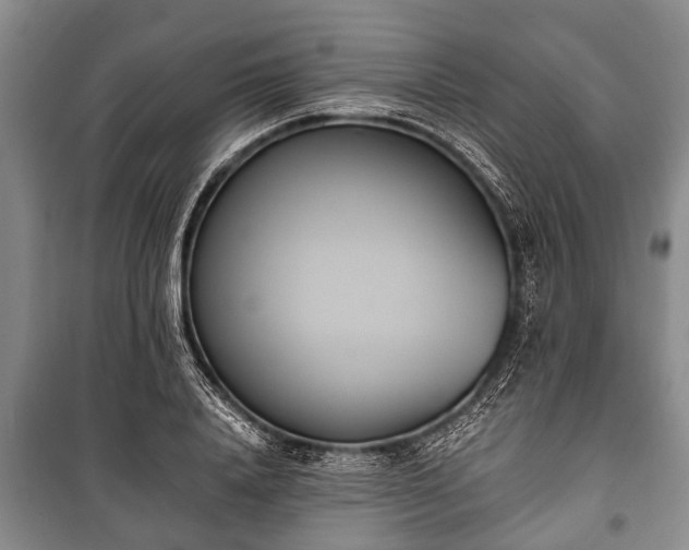 X0000100770840200806261541