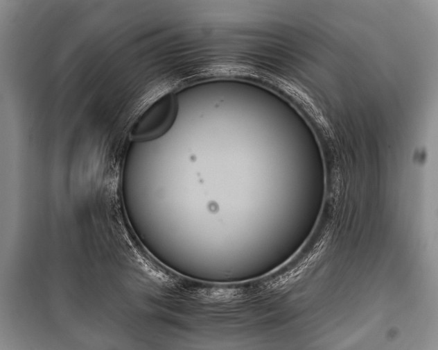 X0000100770841200806261541