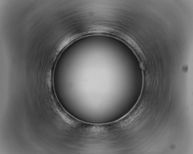 X0000100770842200806261541