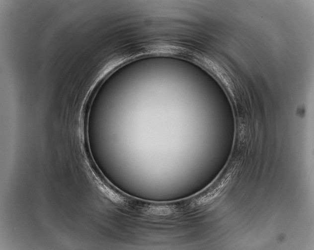 X0000100770843200806261541
