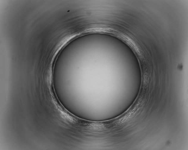 X0000100770844200806261541