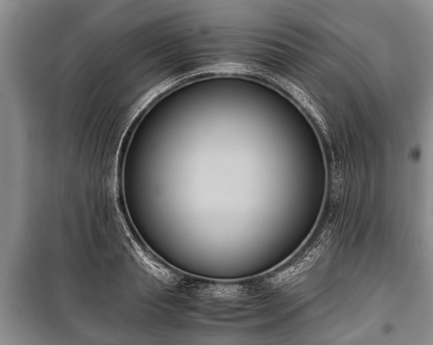 X0000100770845200806261541