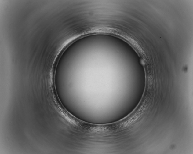 X0000100770846200806261541