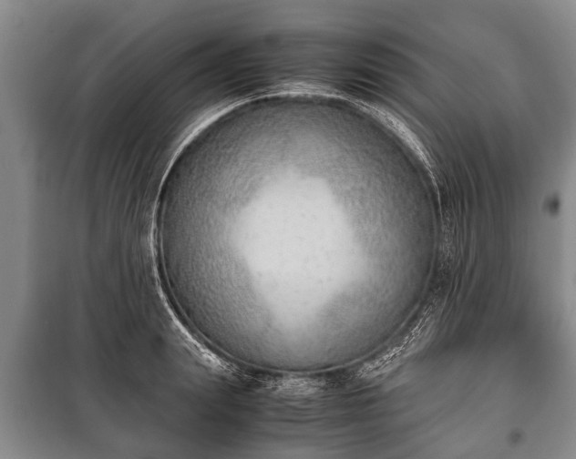 X0000100770847200806261541
