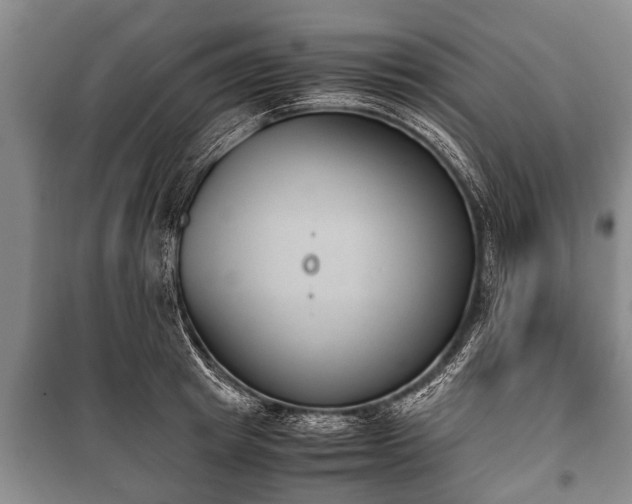 X0000100770849200806261541