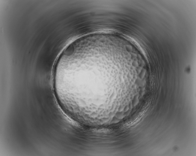 X0000100770851200806261541