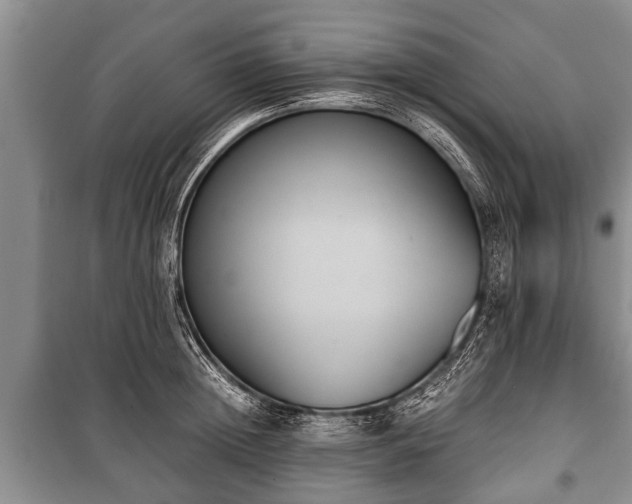 X0000100770852200806261541