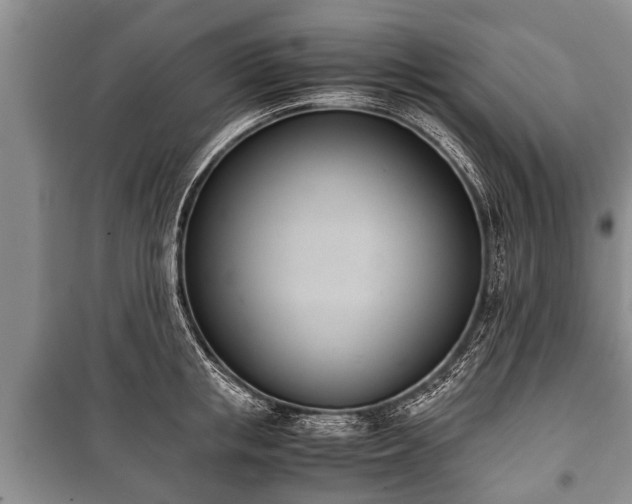 X0000100770853200806261541
