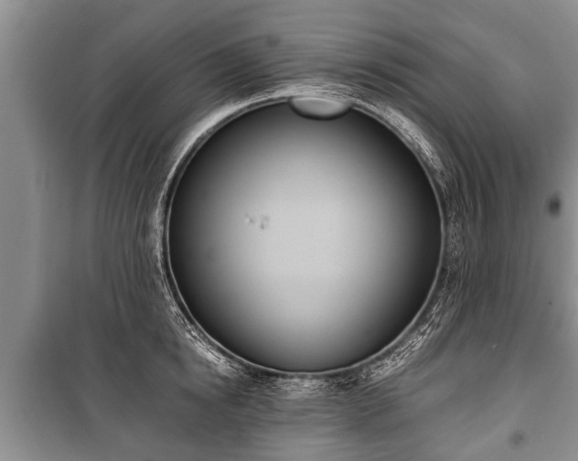 X0000100770854200806261541