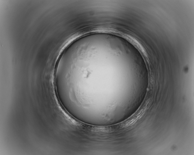 X0000100770855200806261541
