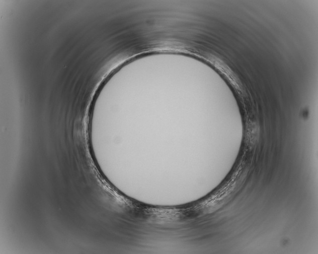 X0000100770856200806261542
