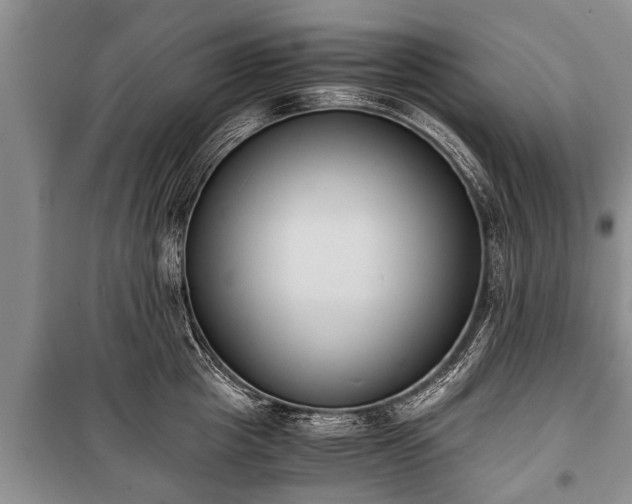 X0000100770857200806261542