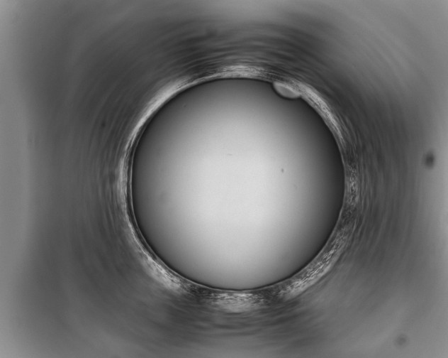 X0000100770859200806261542