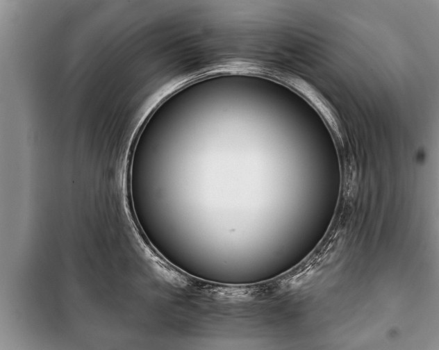 X0000100770861200806261542