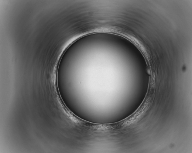 X0000100770862200806261542