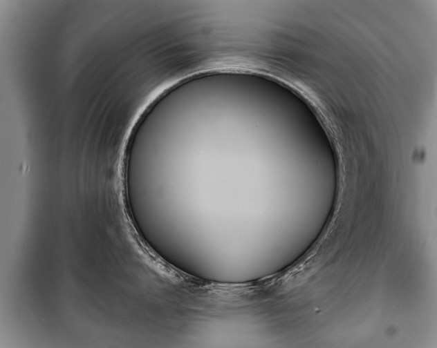 X0000100770864200806261542