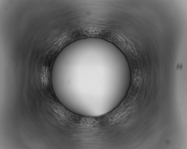 X0000100770866200806261541