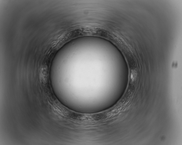 X0000100770867200806261541