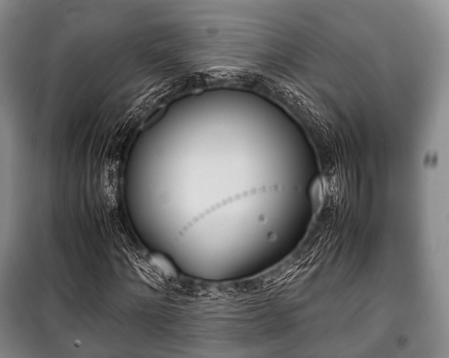 X0000100770868200806261541