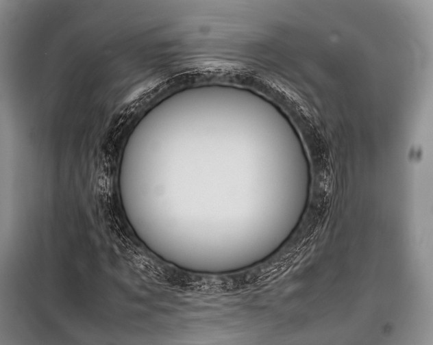 X0000100770869200806261541