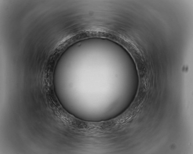 X0000100770870200806261541