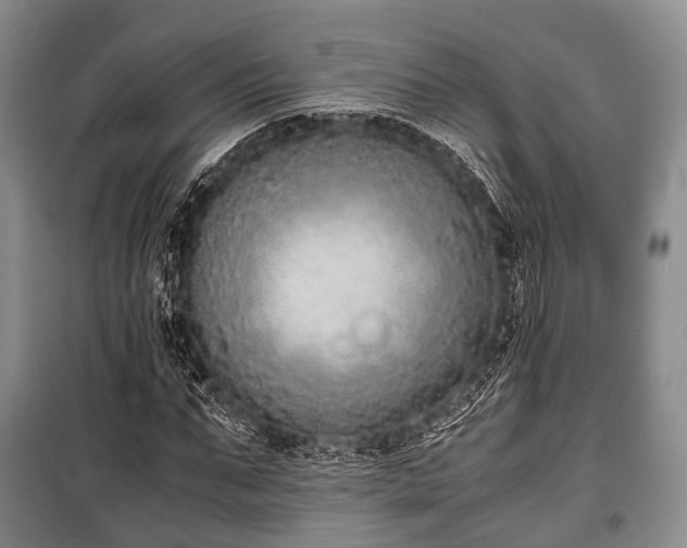 X0000100770871200806261541
