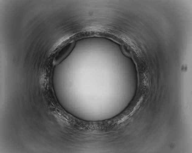 X0000100770872200806261541