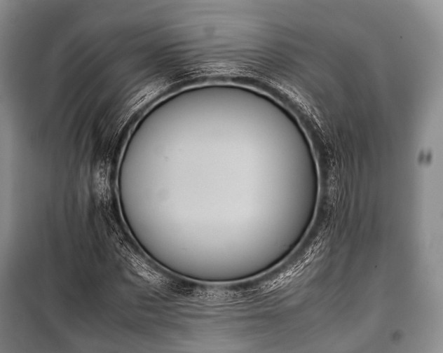 X0000100770873200806261541