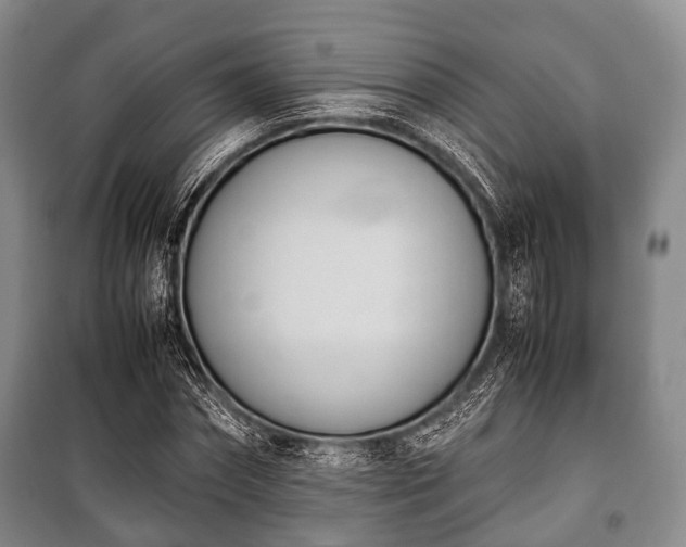 X0000100770874200806261541