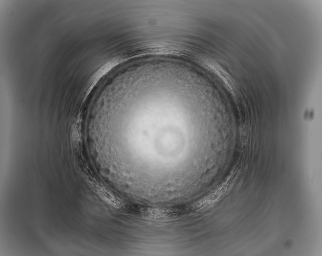 X0000100770875200806261541