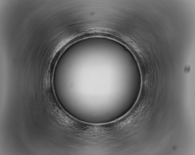X0000100770877200806261541