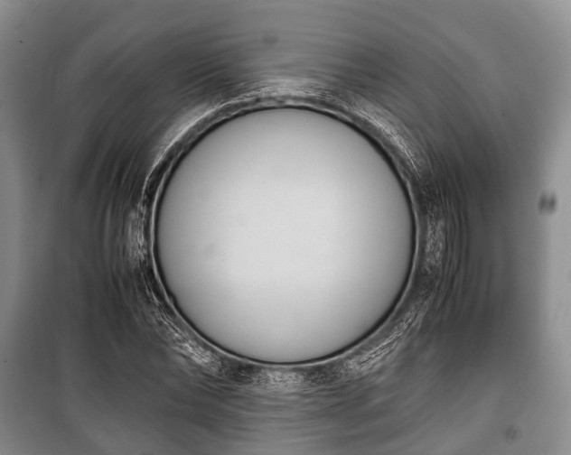 X0000100770878200806261541